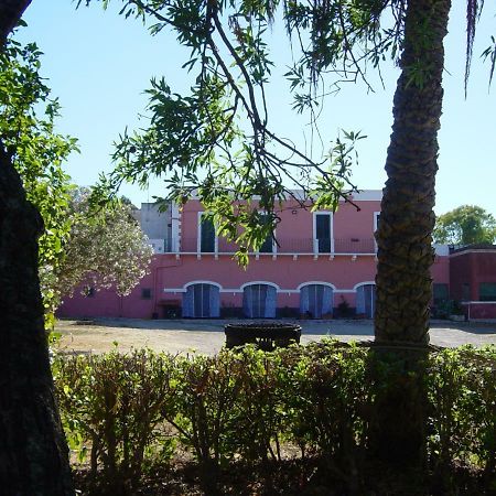 מסניה Tenuta Argiano מראה חיצוני תמונה