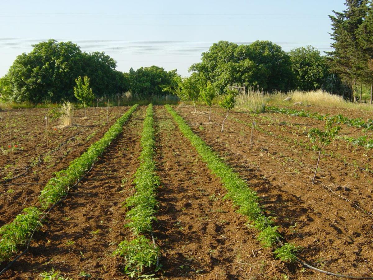 בית הארחה מסניה 	Tenuta Argiano מראה חיצוני תמונה