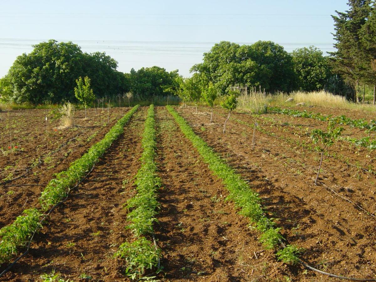 מסניה Tenuta Argiano מראה חיצוני תמונה