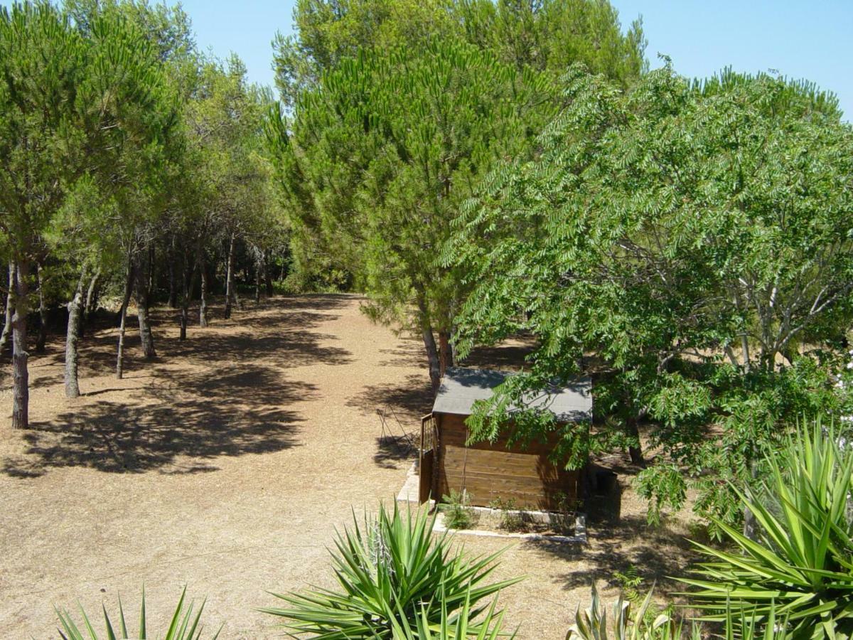 מסניה Tenuta Argiano מראה חיצוני תמונה
