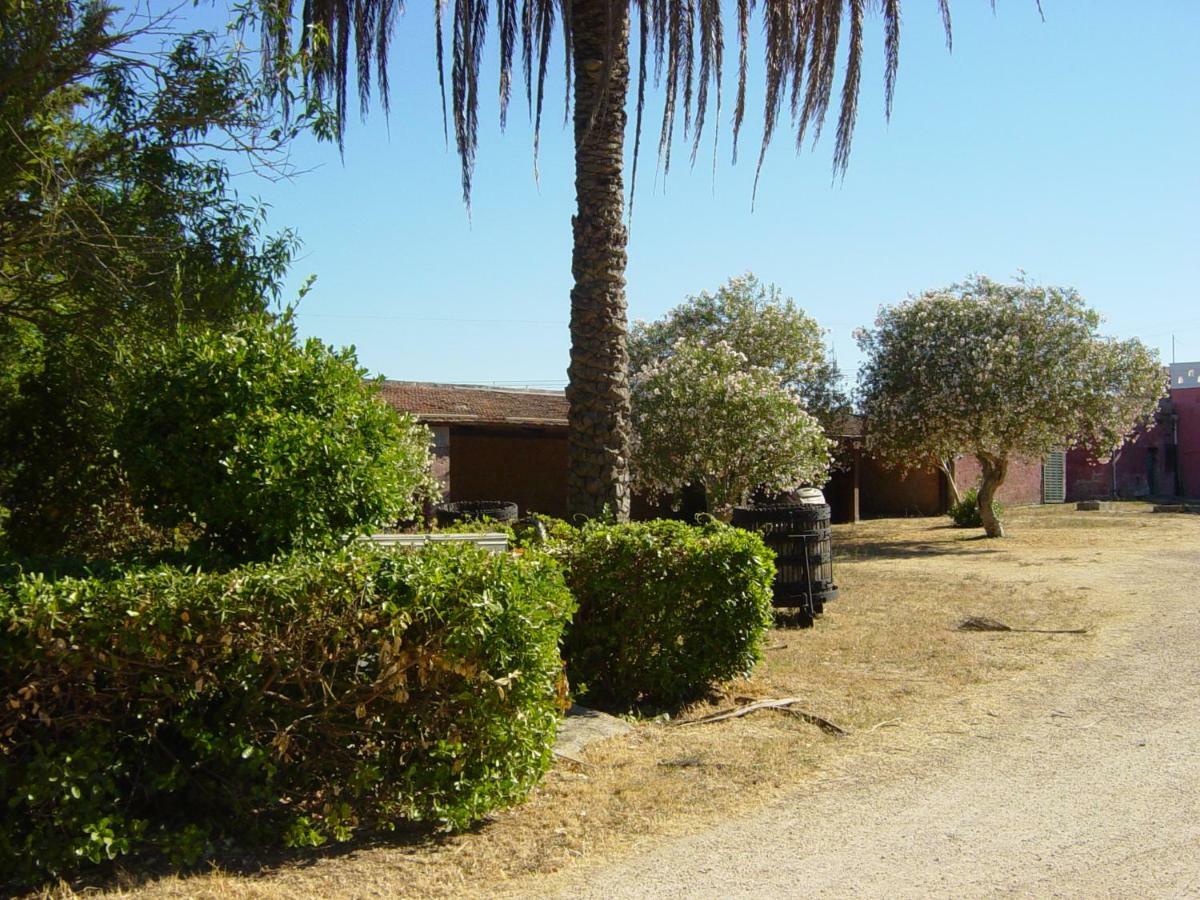 מסניה Tenuta Argiano מראה חיצוני תמונה