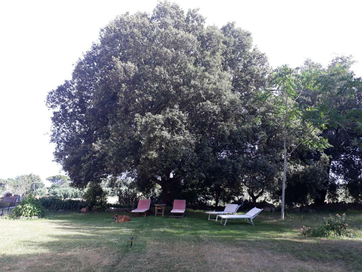 מסניה Tenuta Argiano מראה חיצוני תמונה